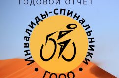 Годовой публичный отчет за 2017 год
